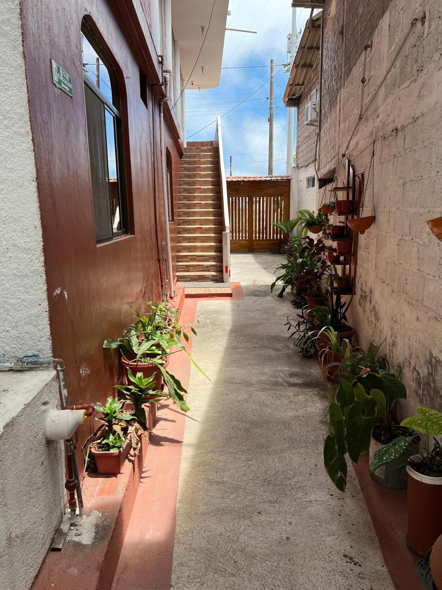 Hostal Cattleya Puerto Baquerizo Moreno Extérieur photo