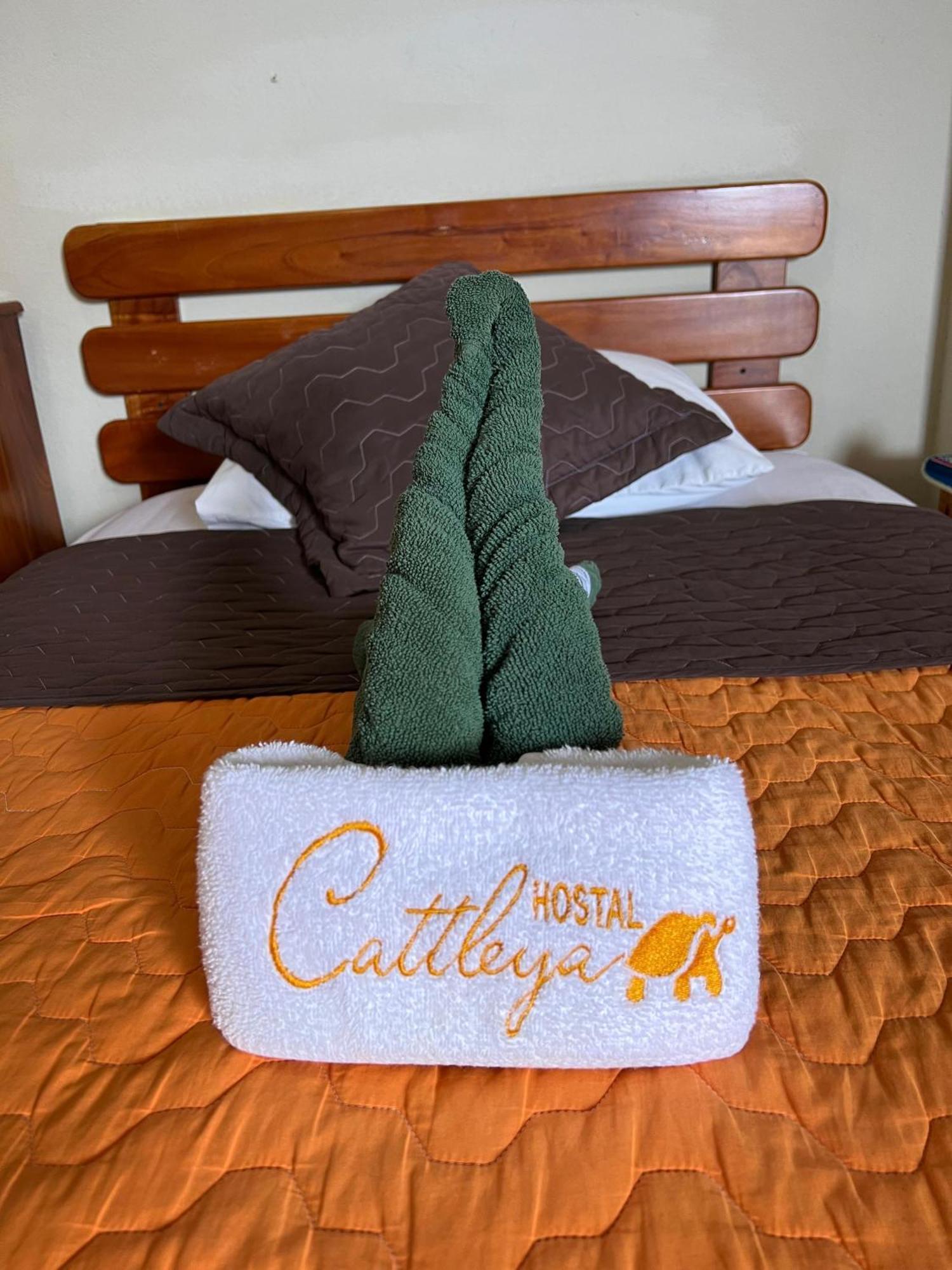 Hostal Cattleya Puerto Baquerizo Moreno Extérieur photo